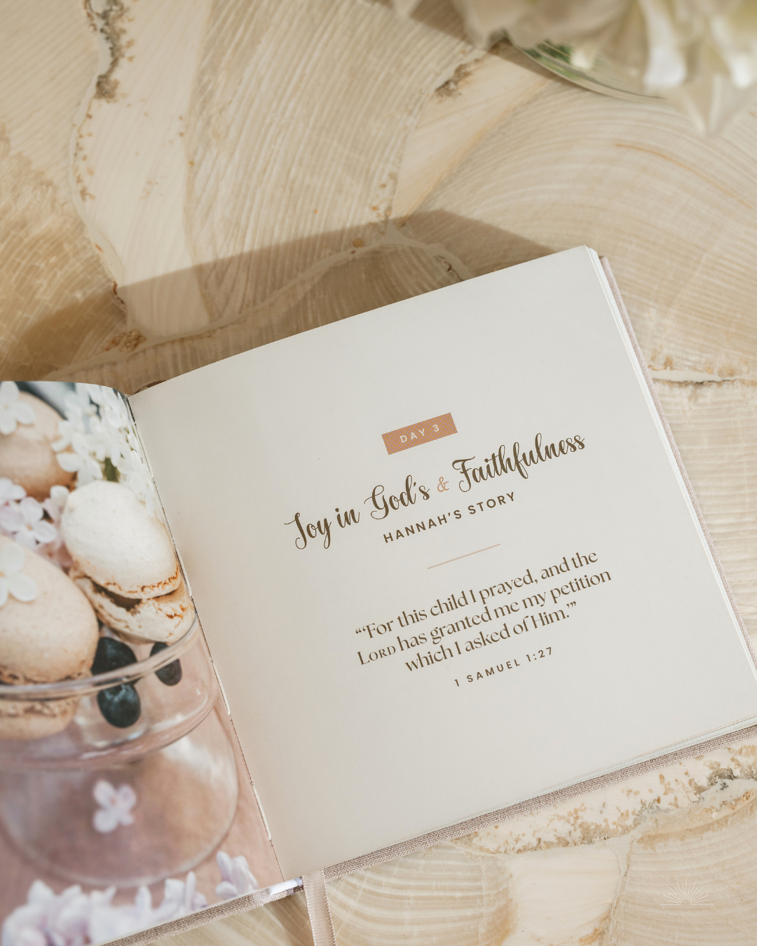 Discovering Joy Through the Stories of the Bible: 42-Day Joy Devotional