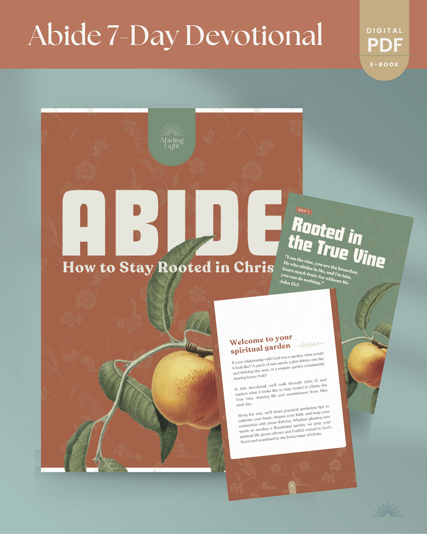 Abide: How to Stay Rooted in Christ (e-book)