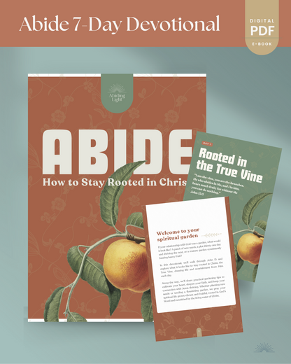 Abide: How to Stay Rooted in Christ (e-book)