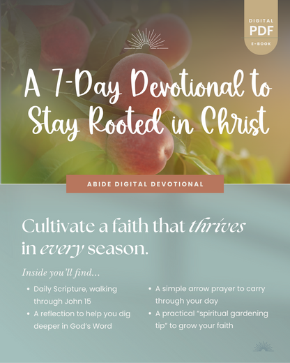 Abide: How to Stay Rooted in Christ (e-book)