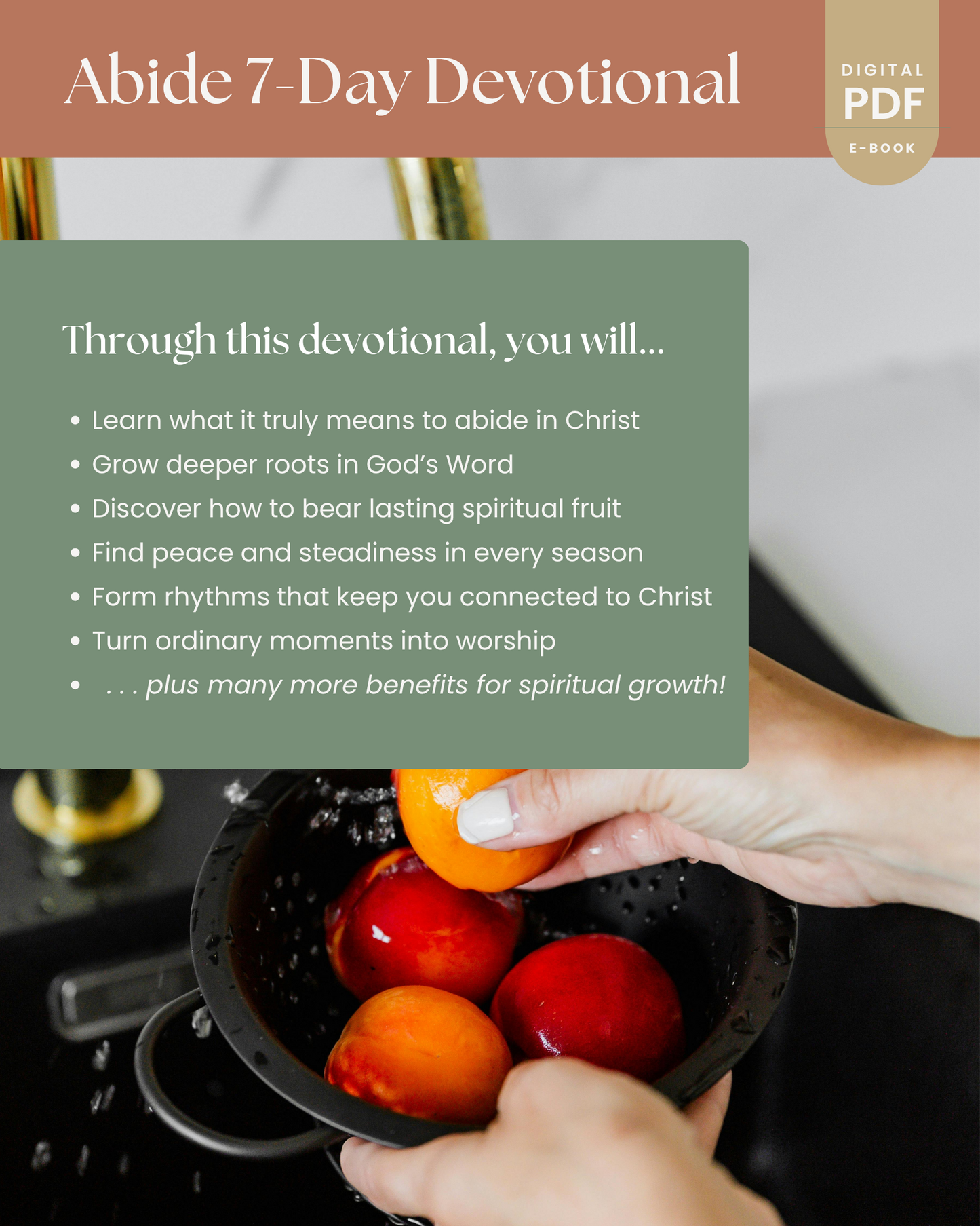Abide: How to Stay Rooted in Christ (e-book)